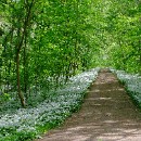 30 Fotozirkel Mannheim e.V. Heinrich Ulrich